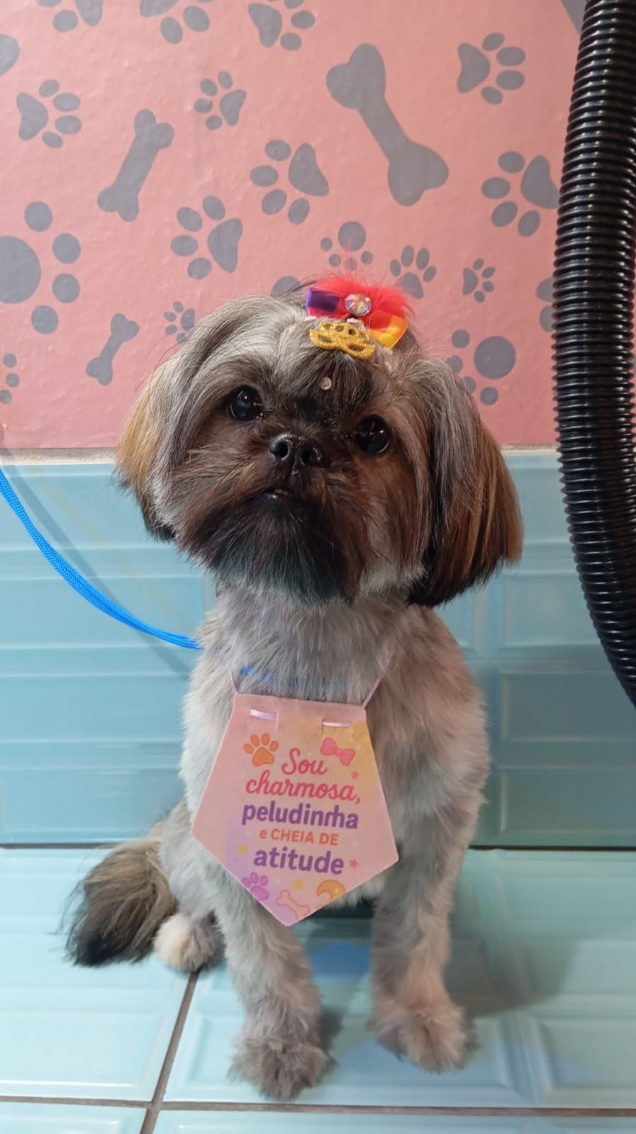 Cachorrinho feliz